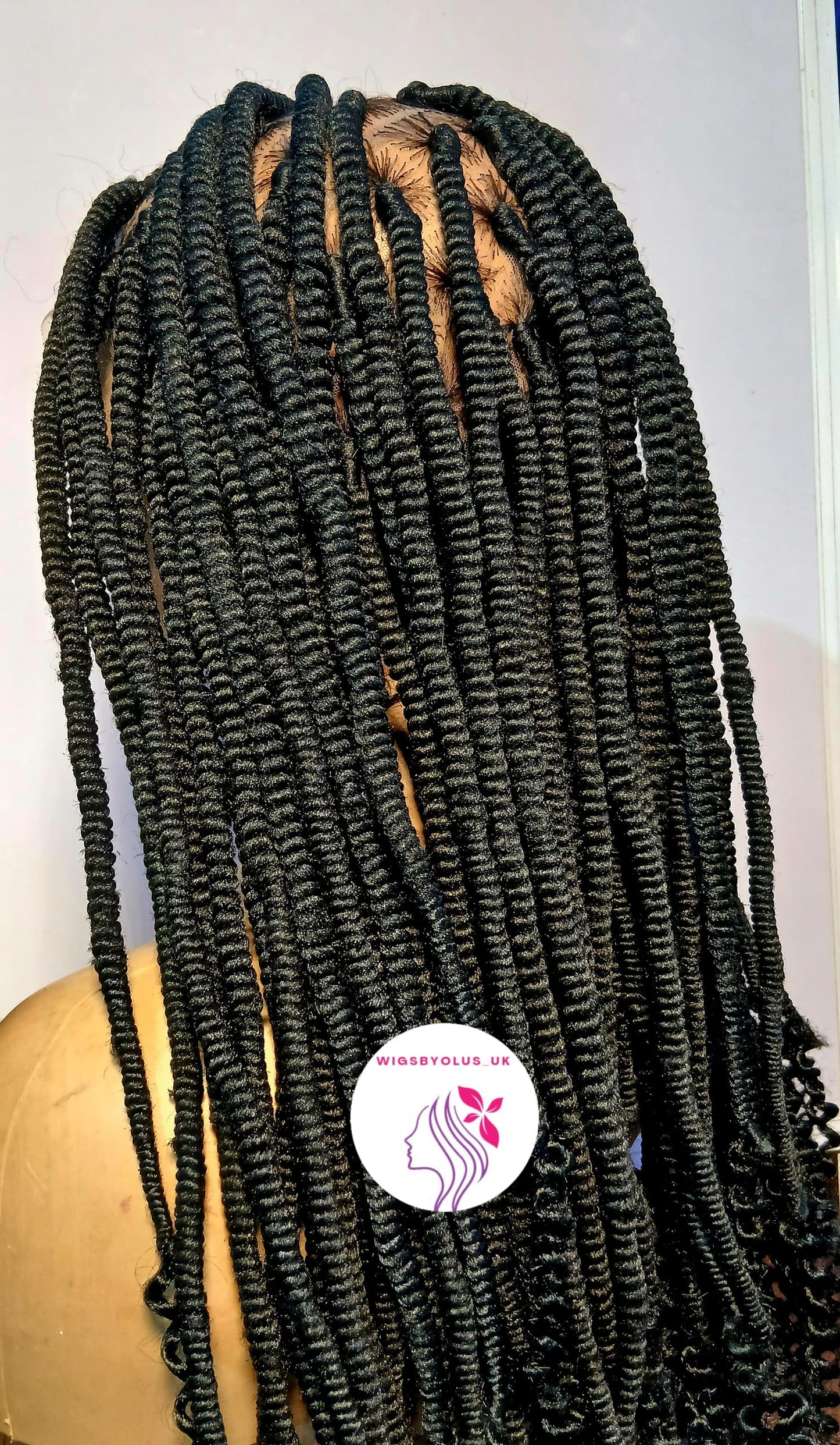 Braided Wig with Baby Hair – Women’s Synthetic & Natural Hair, Full Lace Protective Style